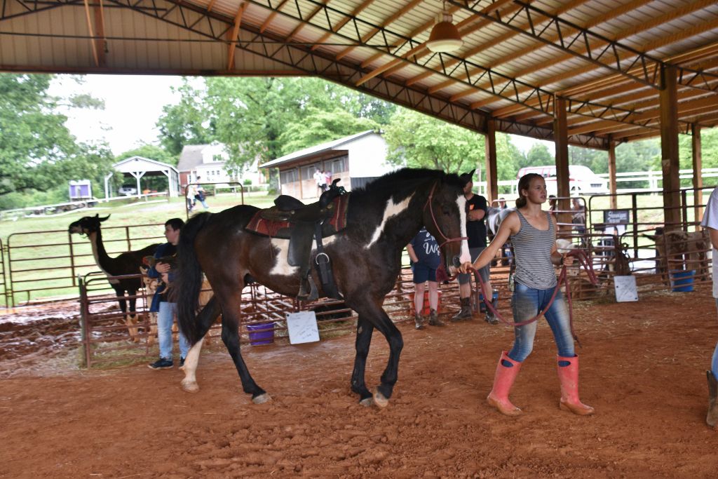 mimosa farm 2019 042 (1024x683).jpg